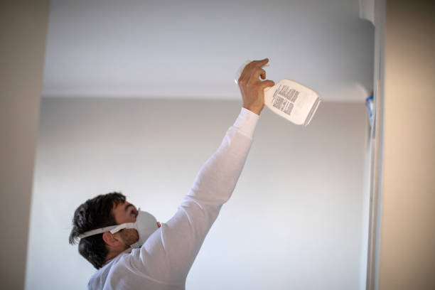 Professional Mold Removal in Waynesville, NC