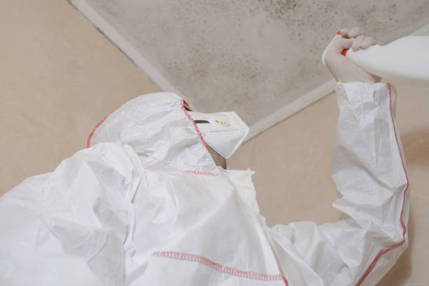 Best Mold Testing and Removal  in Waynesville, NC