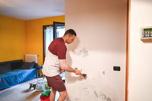 Best Mold Testing  in Waynesville, NC